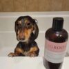 iGROOM Extra jemný neslzivý šampon - Tearless Facial Shampoo - Image 5
